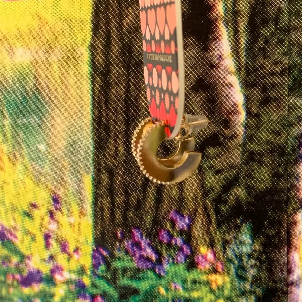 Anthropologie Ridged crystal huggie hoop earring - Picture 13 of 16